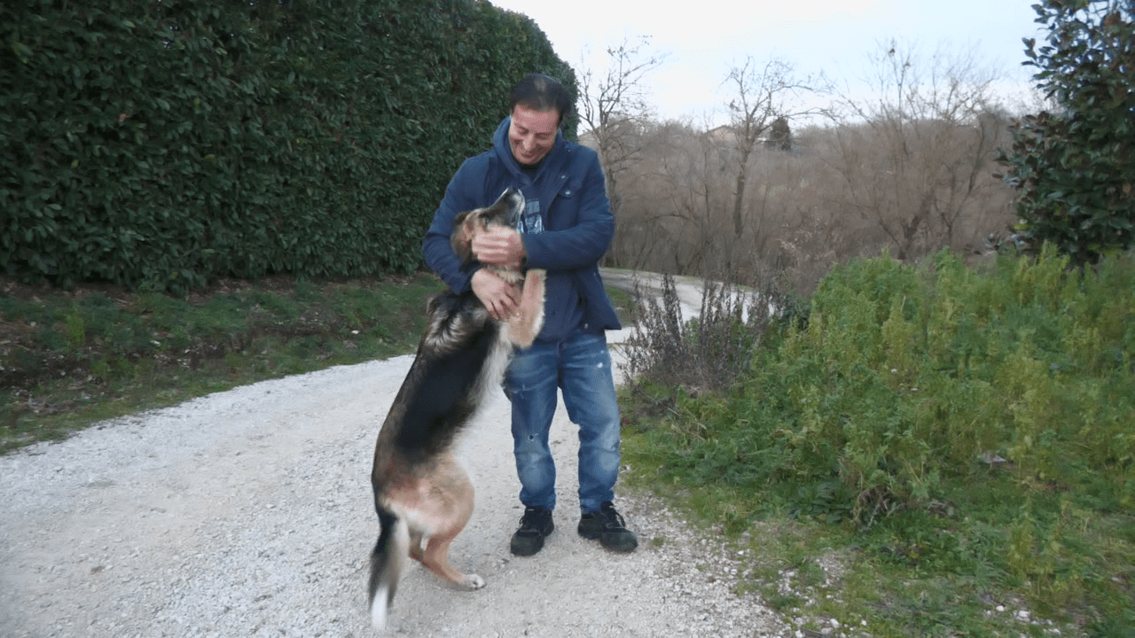 schiacciato sotto un tronco la miracolosa salvezza di aldo grazie al suo cane meticcio bella da Cilentoreporter.it schiacciato sotto un tronco la miracolosa salvezza di aldo grazie al suo cane meticcio bella